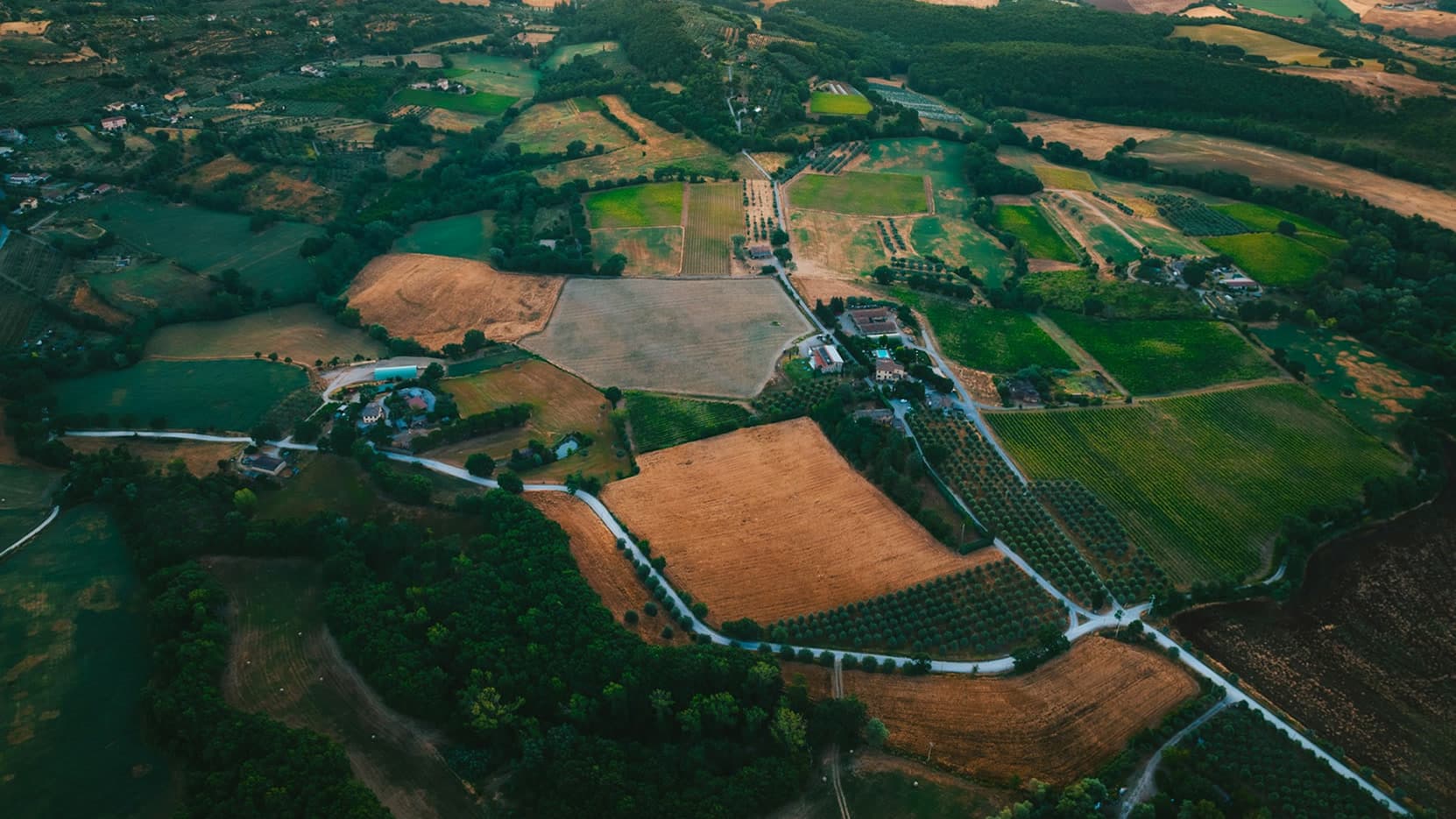 Aerial view of farm parcels divided by roads